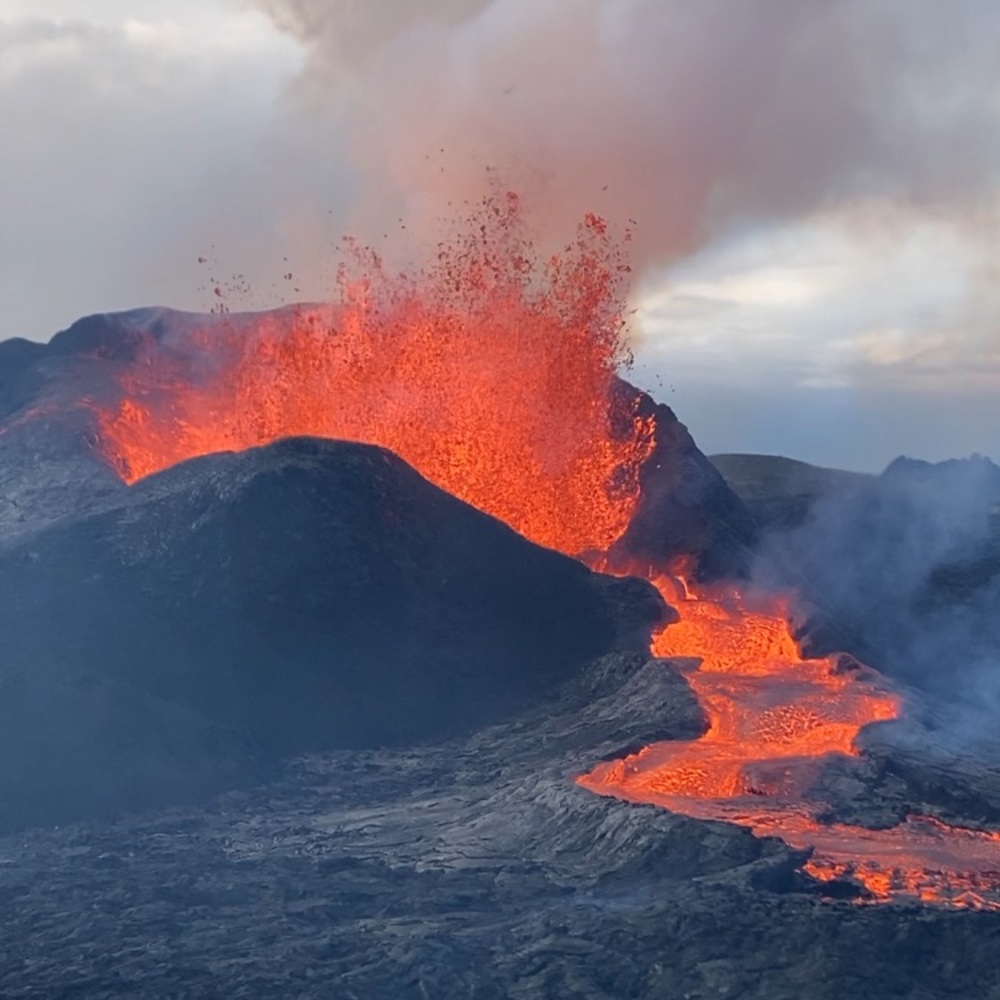 Meet your Posher, Dagny